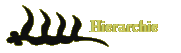 Hierarchie