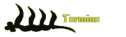 Termine
